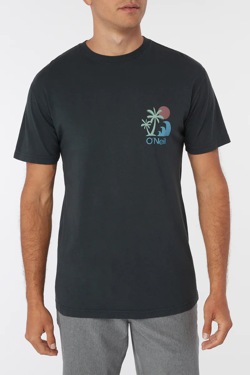 O'Neill Mythic Palms Men's Tee - Dark Charcoal Mens T Shirt
