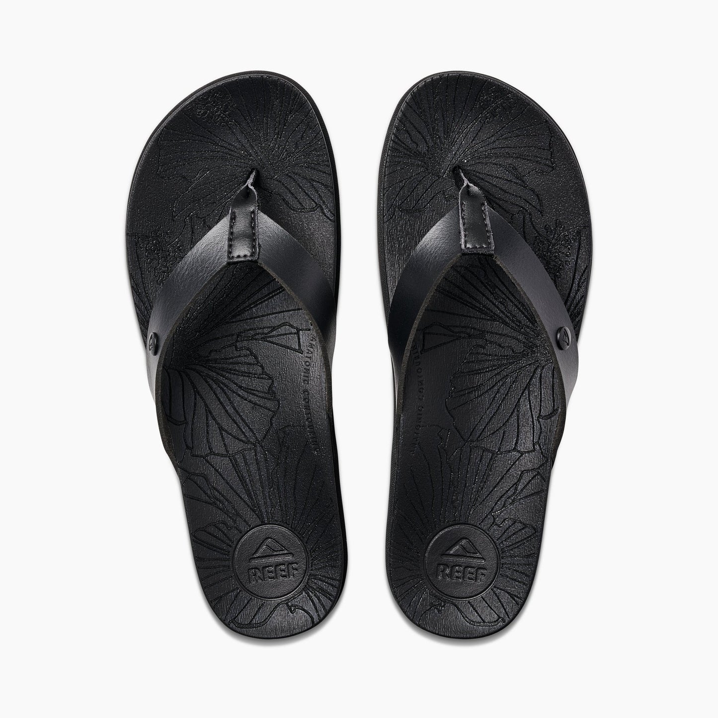 Reef Cushion Porto Cruz Women's Sandals - Black Womens Footwear