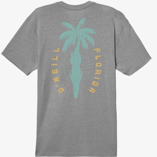 O'Neill Bigmouth Florida Men's Tee - Heather Grey Mens T Shirt