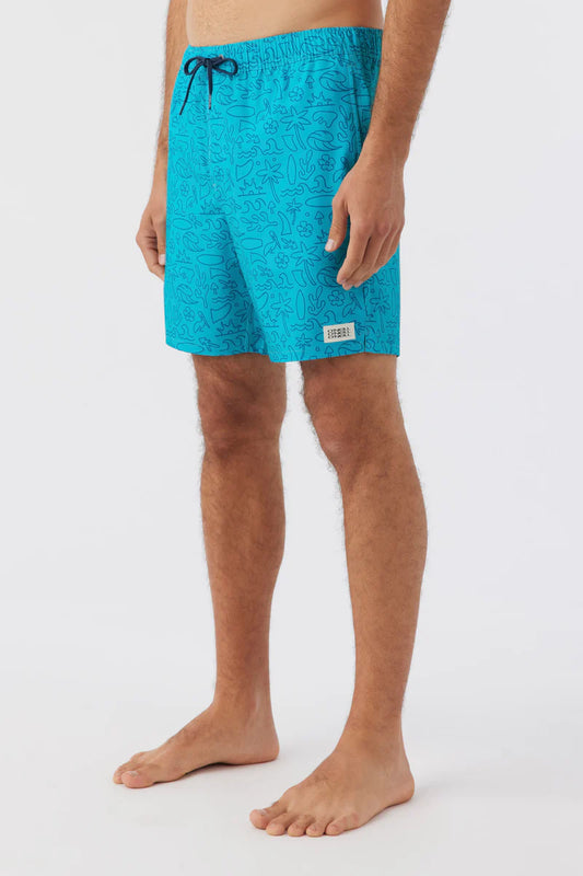 Men's Boardshorts & Shorts