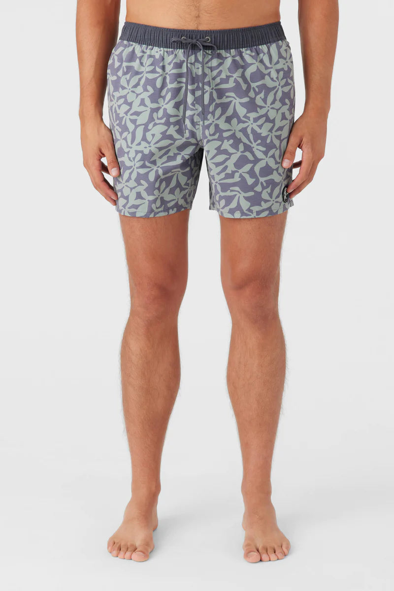 O'Neill OG Volley Shorts 16" - Purple Seagrass Mens Boardshorts