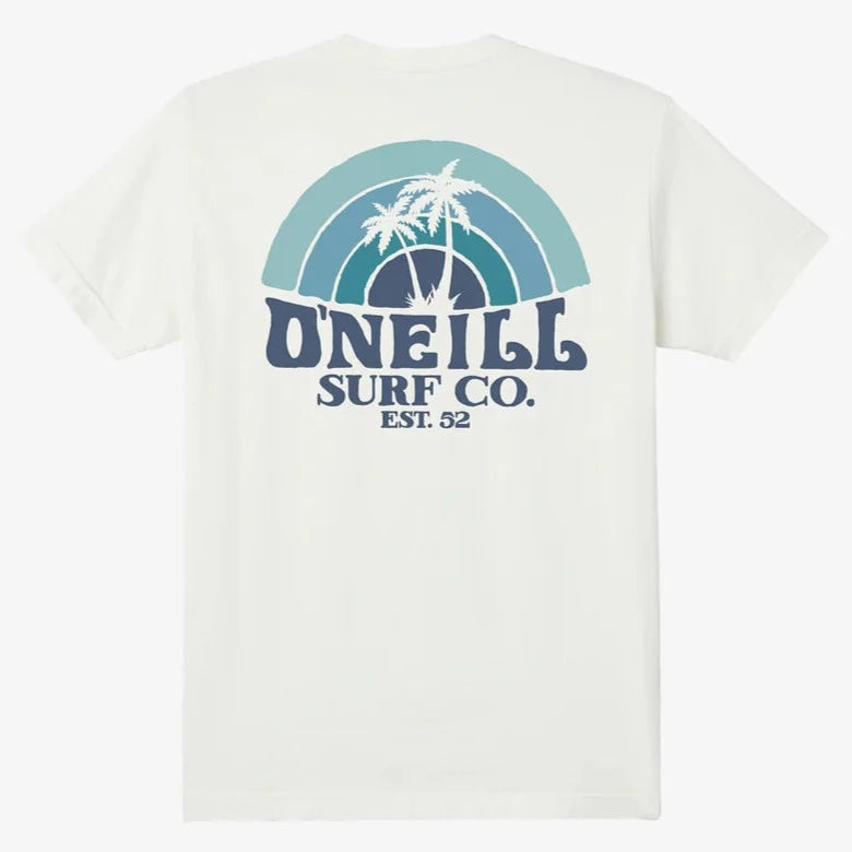 O'Neill Shaved Ice Men's Tee - Natural Mens T Shirt