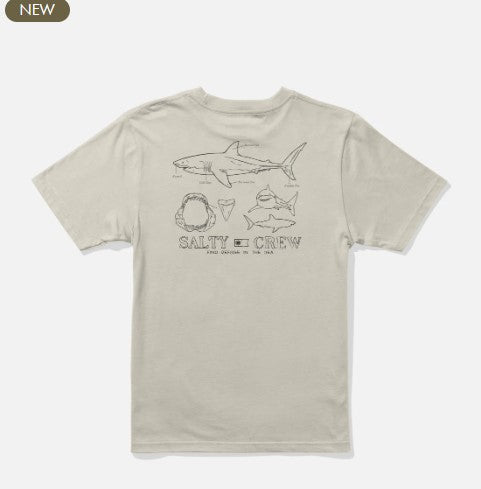 Salty Crew Great White Boys Tee - Bone Boys T Shirt