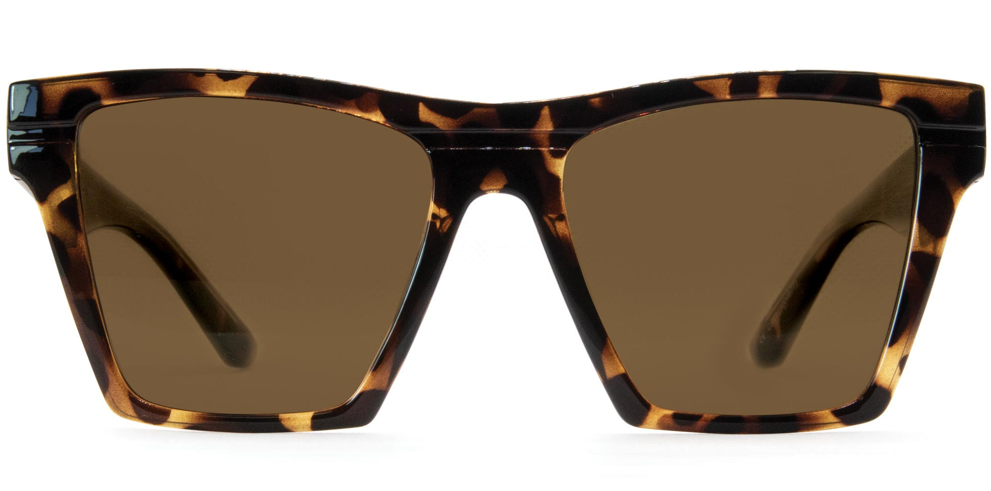 Carve Phoenix Polarized Sunglasses - Gloss Black Blue - Tort Sunglasses
