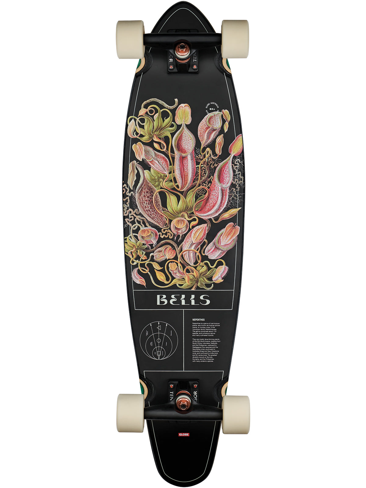 Globe Skateboards Bells 34" Cruiser - Pitcher Plant Skateboard