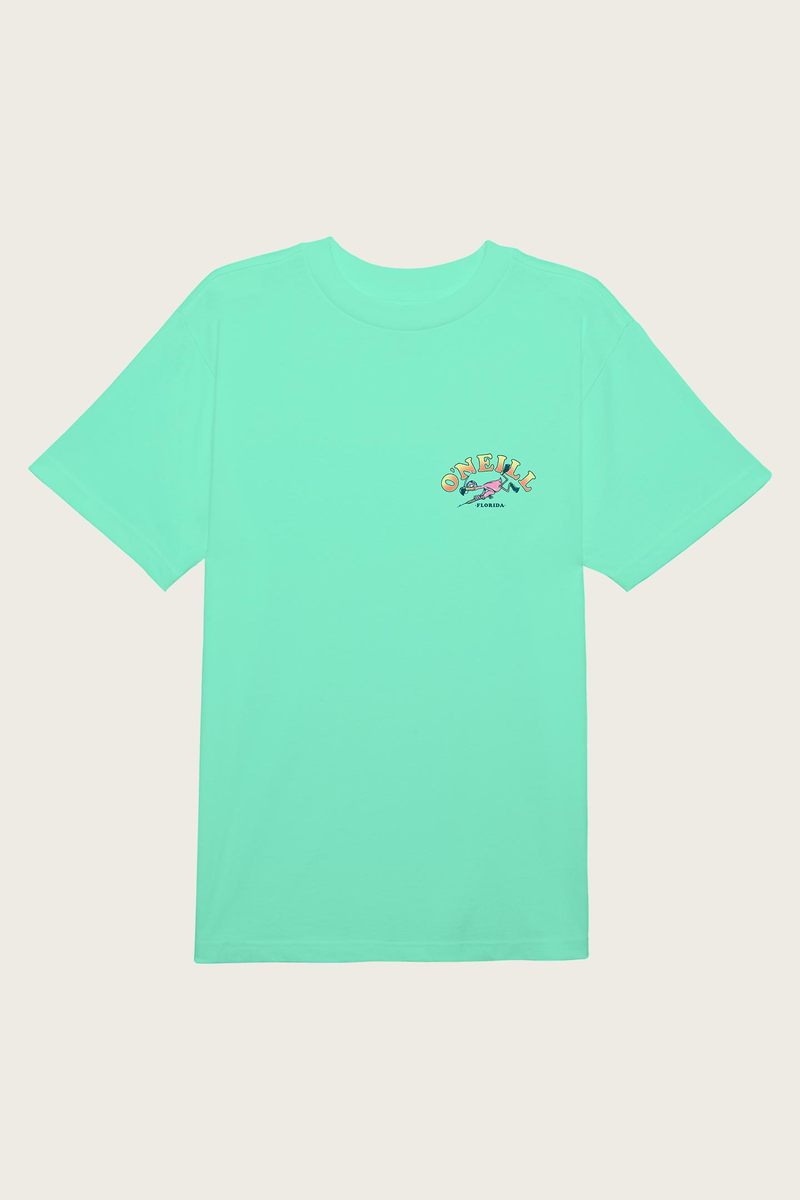 Oneill Diving Club Mens T Shirt - Mint- White Mens T Shirt