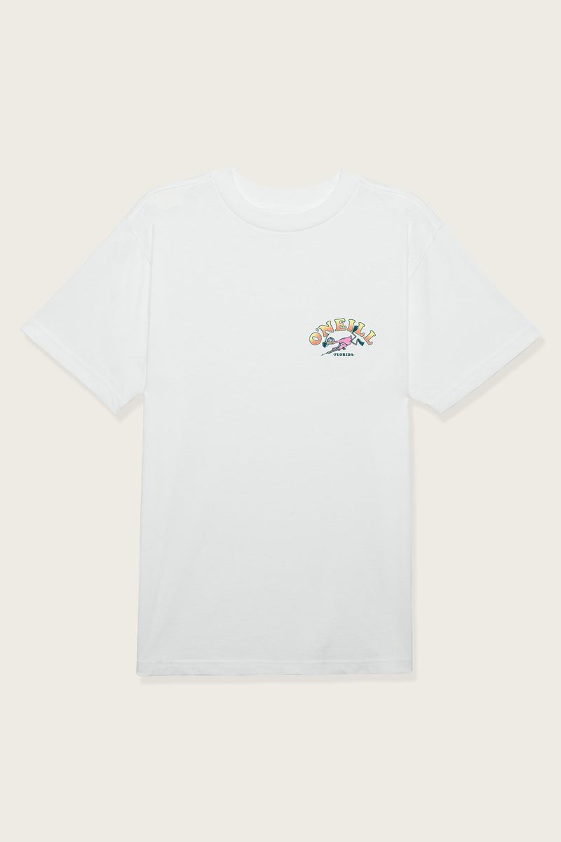 Oneill Diving Club Mens T Shirt - Mint- White Mens T Shirt