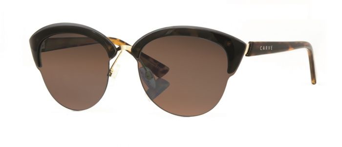 Carve Sunglasses Carolina Polarized Tort - Black Sunglasses Tort Brown