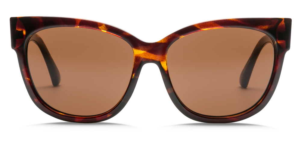 Electric Danger Cat Gloss Tortoise Bronze Polarized- OHM PBRZ Sunglasses
