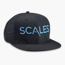 Scales SCALES Pro Snapback Hat - Black Hats