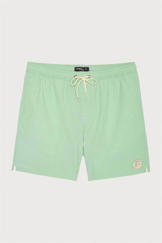 O'Neill Solid Volley Shorts 17" - Mint Mens Boardshorts